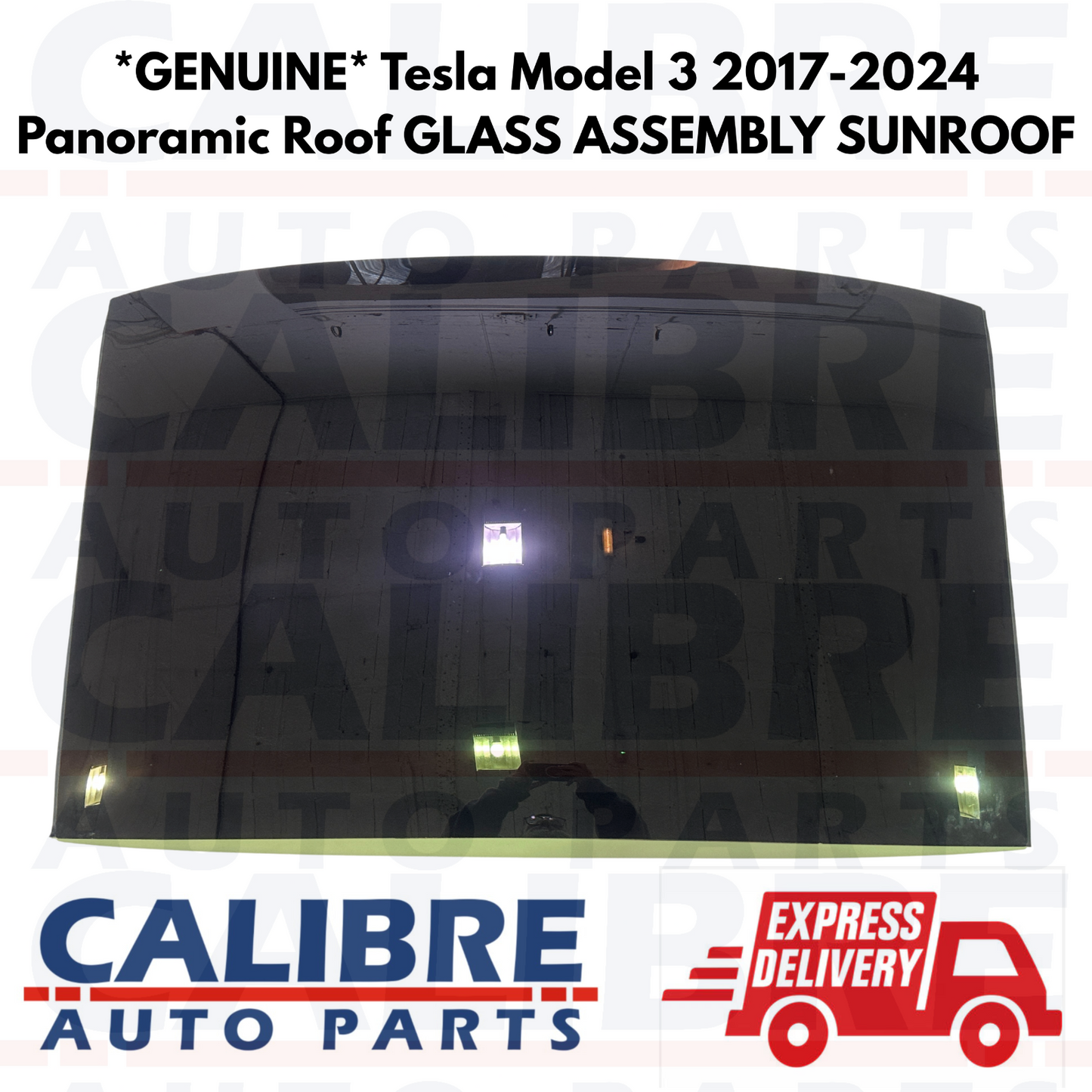 *GENUINE* Tesla Model 3 2017-2024 Panoramic Roof GLASS ASSEMBLY SUNROOF