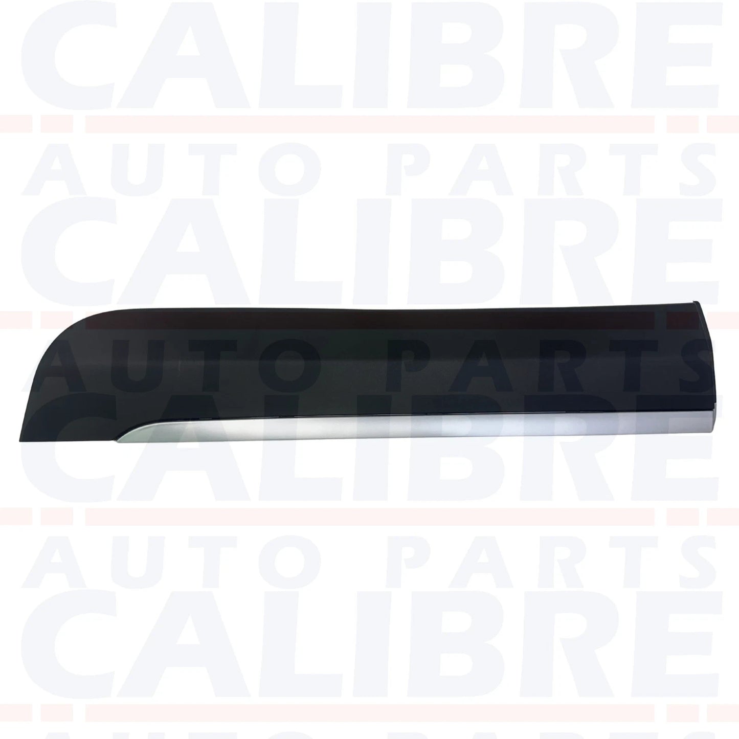 MG ZS 2017-2025 Rear Left Passenger Side Door Moulding Trim - 10252396