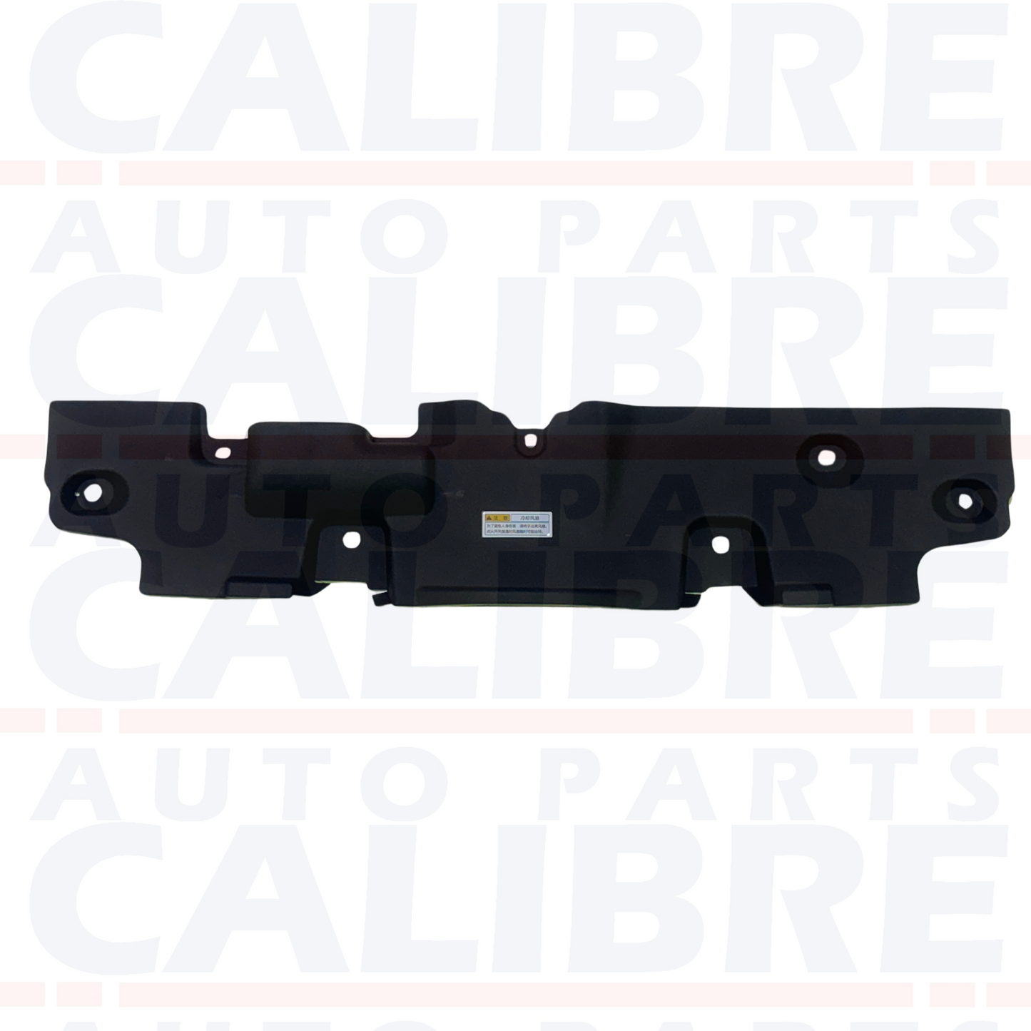 Toyota RAV-4 MK5 2018-2022 Slam Panel Cover 16681-25020
