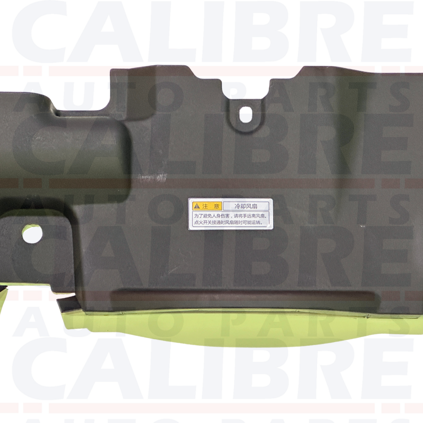 Toyota RAV-4 MK5 2018-2022 Slam Panel Cover 16681-25020
