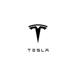 Fit For Tesla
