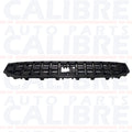 Polestar 2 2020-2024 Front Main Grille