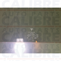 Tesla Model 3 2017-2024 Panoramic Roof GLASS ASSEMBLY SUNROOF