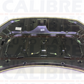 Honda Civic 2017-2021 Bonnet Hood