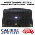Tesla Model 3 2017-2024 Panoramic Roof GLASS ASSEMBLY SUNROOF