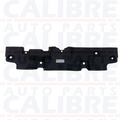 Toyota RAV-4 MK5 2018-2022 Slam Panel Cover 16681-25020