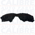 TOYOTA Rav-4 Front Arch Liner Splash Guard Passengers N/S 53876-42100