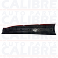 MG HS 2018 - 2024 MK1 Front Right Driver Side Door Moulding Trim - 10423725
