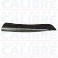 MG ZS 2017-2025 Rear Right Door Moulding Trim - 10252397