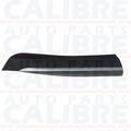 MG ZS 2017-2025 Rear Left Door Moulding Trim - 10252396