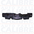 Toyota RAV-4 MK5 2018-2022 Slam Panel Cover 16681-25020