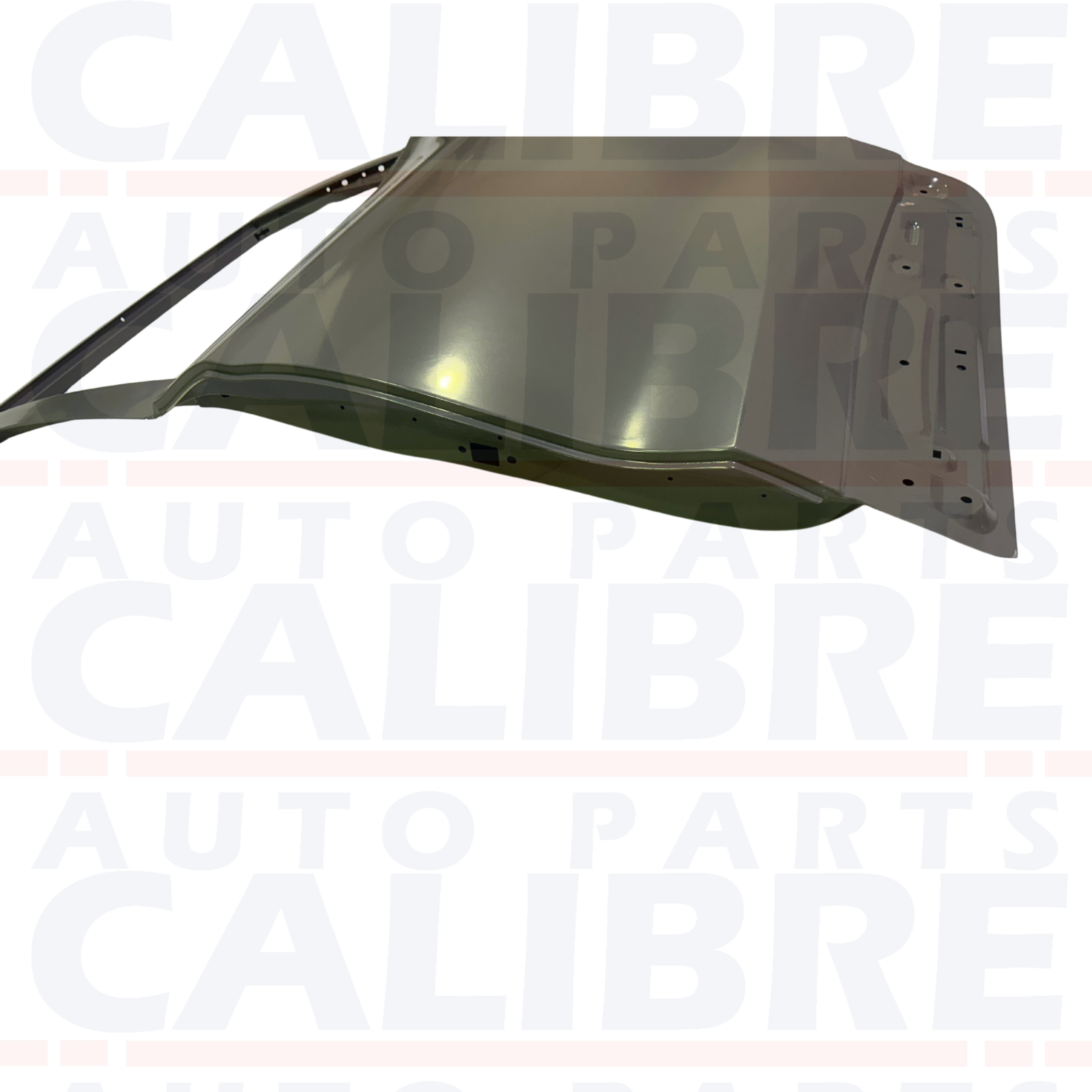 MG ZS 2017-2024 Rear Left Passenger Side Door Shell N/S