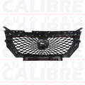 MG HS 2018-2023 Excite + Exclusive Front Radiator Grille (With Camera Hole)