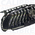 *genuine* MG HS SE & TROPHY 2020-2024 Upper Front Central Main Grille 10821132